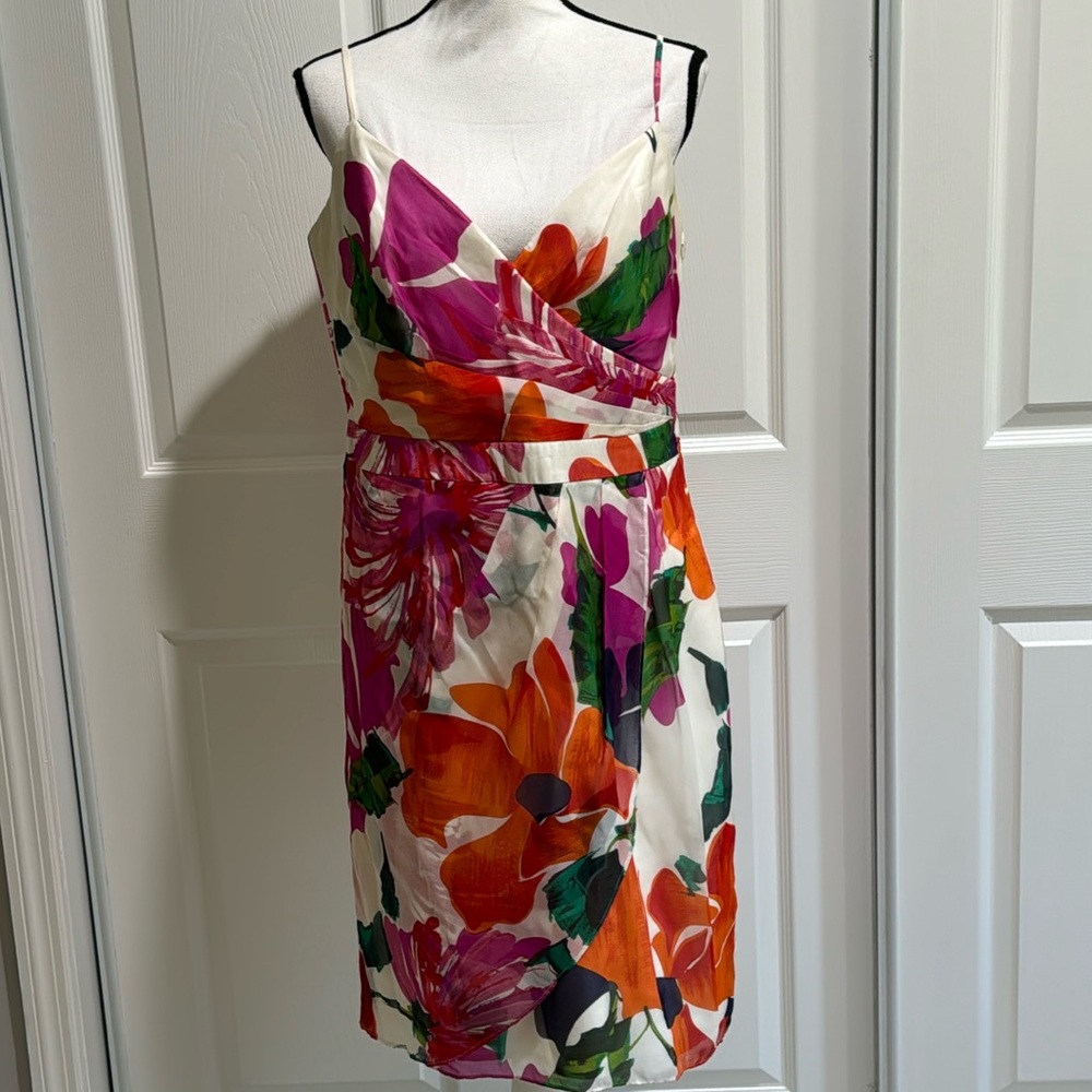 NWT Coast Rosetta Print Dress Multi Color